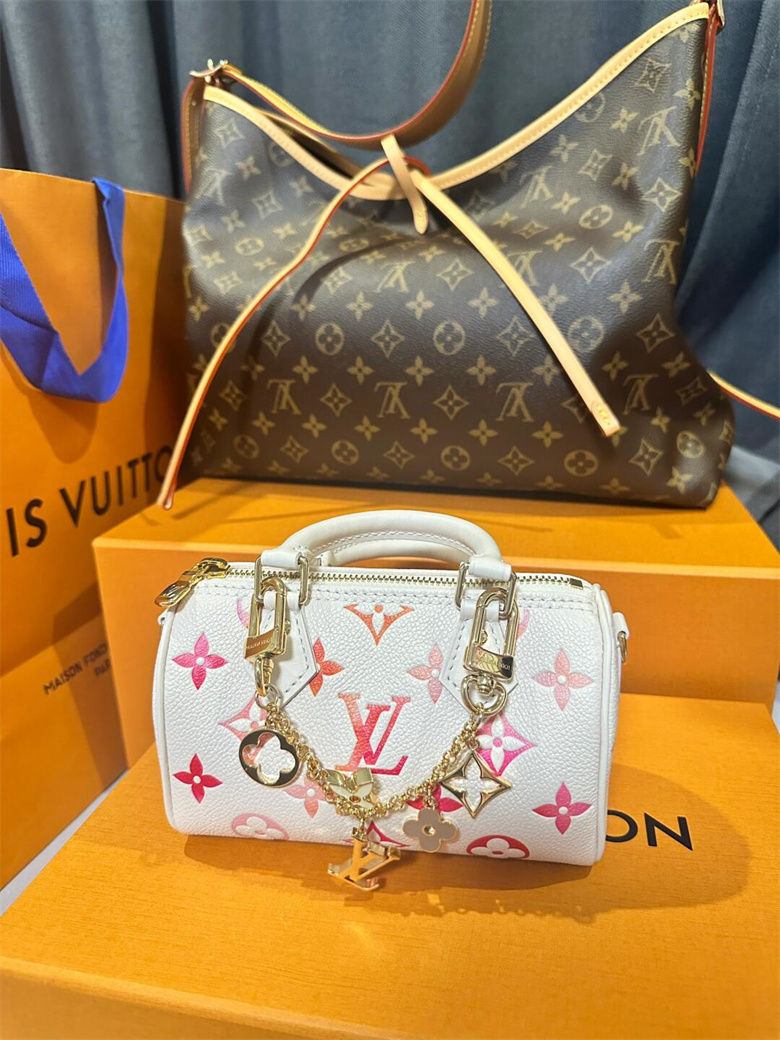 闺女自己买了一只包来给我庆祝母亲节，lv carryall speedy